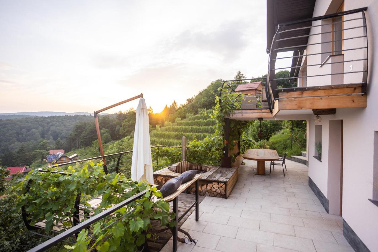 Vineyard Cottage Sonce Sentvid Pri Sticni Extérieur photo